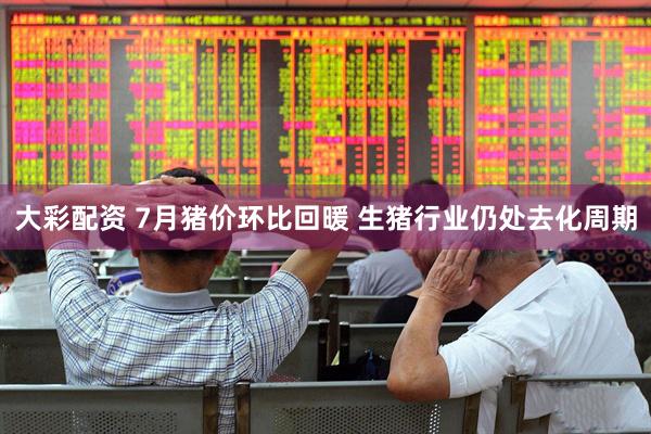 大彩配资 7月猪价环比回暖 生猪行业仍处去化周期